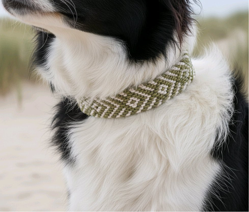 Halsband Keno 4 cm breit