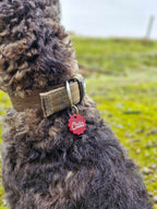 Personalisierte Acryl-Hundemarke - Shape
