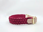 Halsband Coast 3,5 cm breit