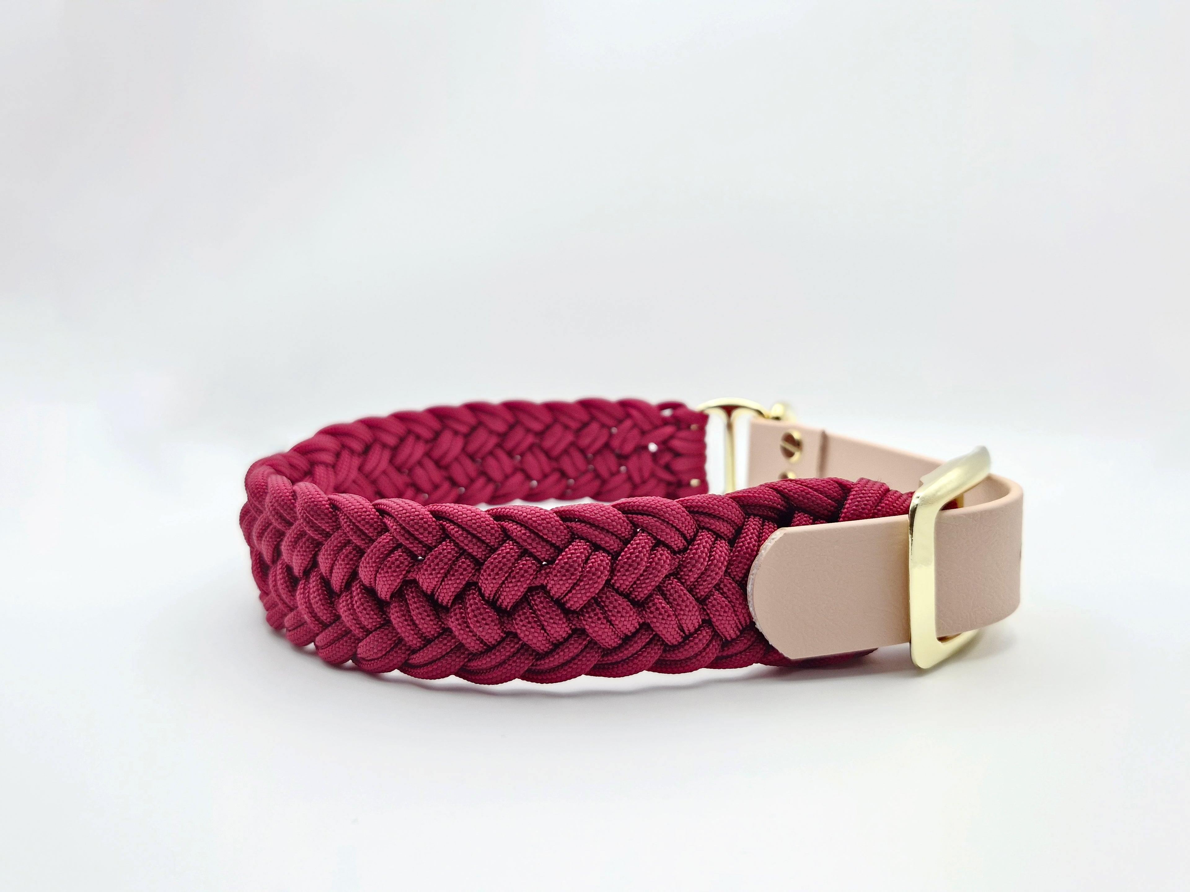 Halsband Coast 3,5 cm breit