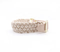 Halsband Coast 3,5 cm breit