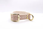 Halsband Coast 3,5 cm breit