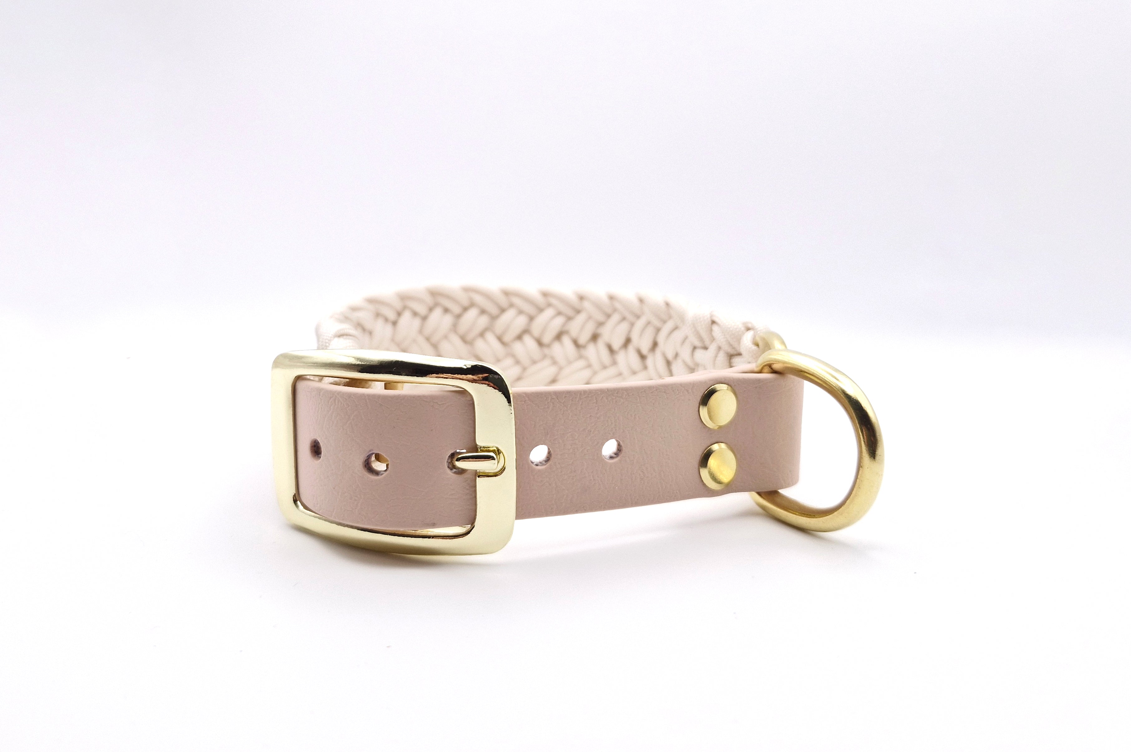 Halsband Coast 3,5 cm breit