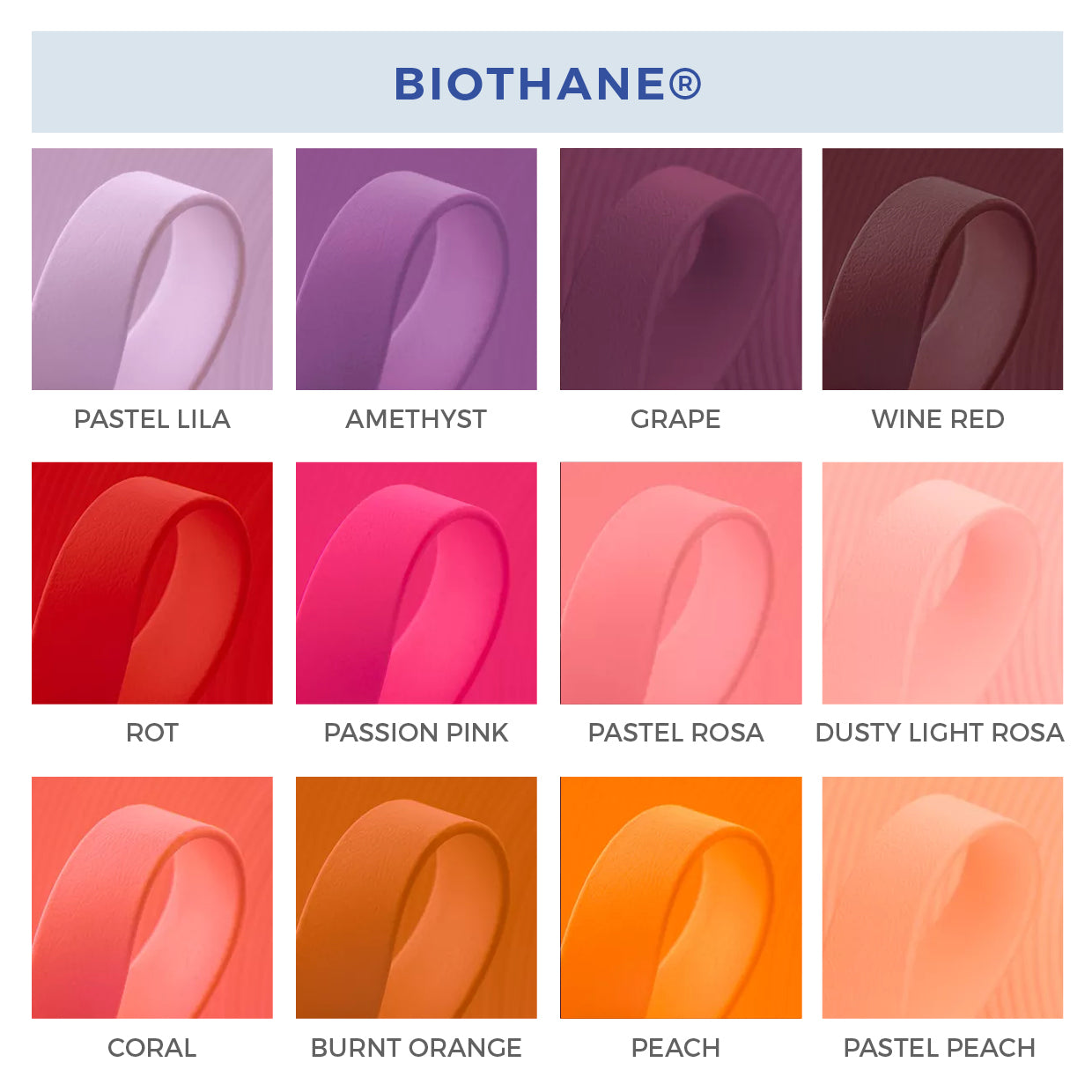 Halsband Balu 3,5cm breit