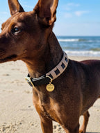 Halsband Milow