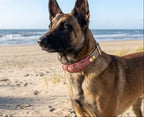 Halsband Milow
