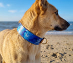 Halsband Ocean Love